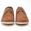 Pointer - Copper Crago II Shoe