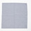 Wings + Horns - Blue Check Bandana