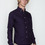Wings + Horns - Purple Oxford Shirt