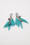 Made-her-think-tooth-n-skull-earrings