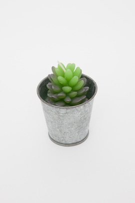 Roost Small Potted Succulent Candle