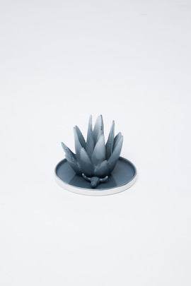 Imm Aloe Jewelry Holder